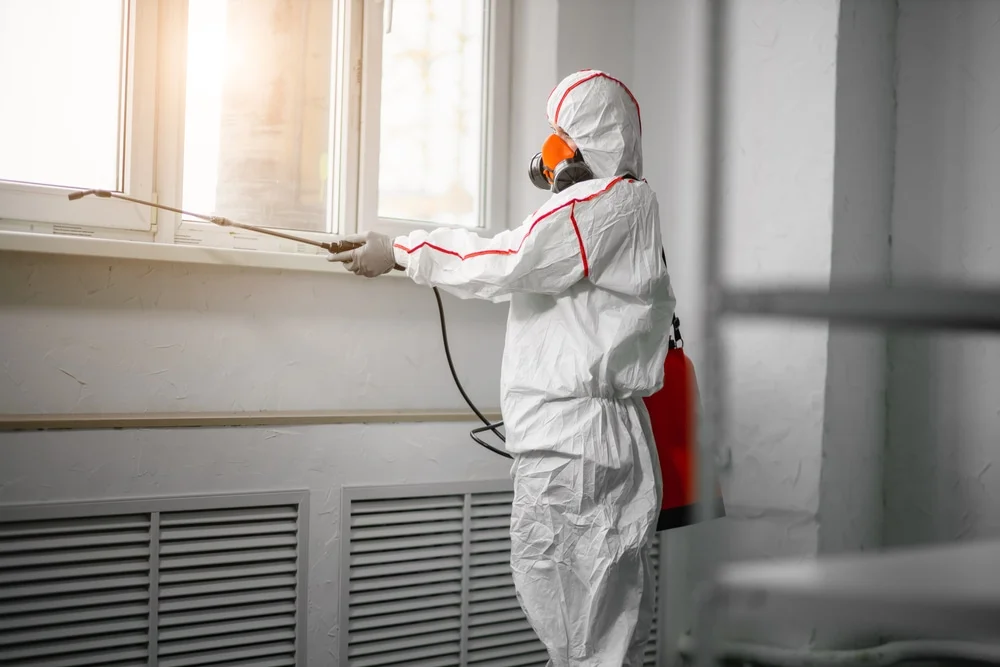 Professional mold remediation services in Richland, NJ
